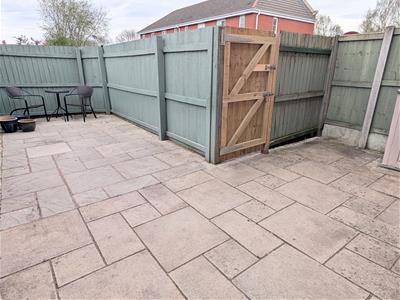 Picture 11